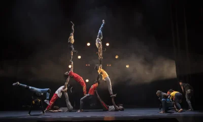 Circo é Cultura Nacional: Lei Oficializa Arte Popular Brasileira e Fortalece o Setor