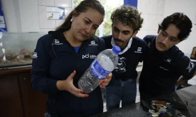 Alerta no Litoral do Paraná: 93% dos Peixes Vendidos Contêm Microplástico, Revela Estudo Impactante