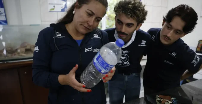 Alerta no Litoral do Paraná: 93% dos Peixes Vendidos Contêm Microplástico, Revela Estudo Impactante