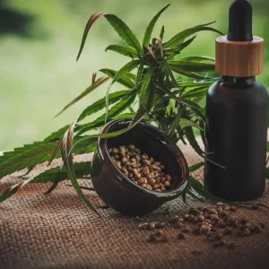 Projeto em Noronha Revoluciona Tratamento de Crianças Atípicas com Cannabis: Mães e Filhos Encontram Alívio