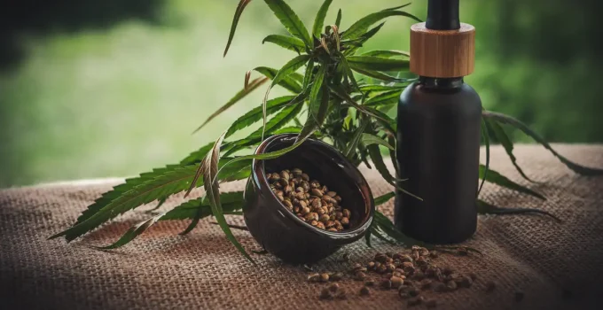 Projeto em Noronha Revoluciona Tratamento de Crianças Atípicas com Cannabis: Mães e Filhos Encontram Alívio