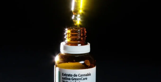 Musculação é a Atividade Física Favorita de Pacientes que Importam Remédios Canábicos, Revela Pesquisa Inédita