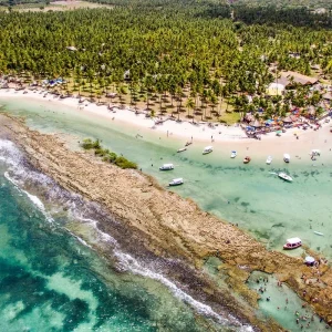 Barulho de Barcos e Turistas Silencia Comunicação de Peixes: Estudo Alerta para Riscos em Recifes Brasileiros