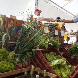 CNPJ para Autônomos e Produtores Rurais: Prazo é Estendido em 6 Meses pela Reforma Tributária