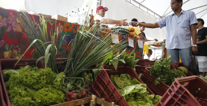 CNPJ para Autônomos e Produtores Rurais: Prazo é Estendido em 6 Meses pela Reforma Tributária