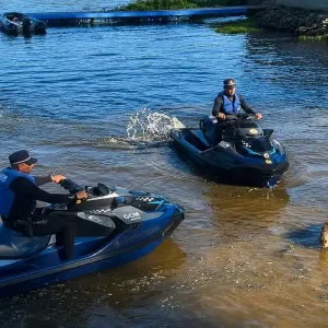 Capivara é assassinada com flecha na Represa de Guarapiranga, em SP; autoridades investigam caça ilegal