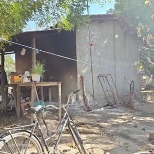 Força-tarefa desmantela esquema: 89 trabalhadores resgatados em condições análogas à escravidão na colheita de café em Minas Gerais