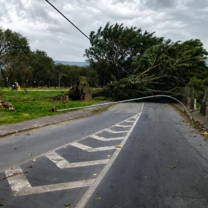 Vento de 125 km/h Atinge SP: Duas Vidas Perdidas, Alerta Laranja e Estragos em Cidades; Veja os Detalhes