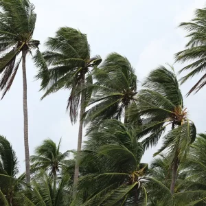 Ventos Furiosos Devastam Costa Verde e Região Serrana do RJ: Pescador Desaparecido e Casas Destelhadas