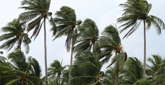 Ventos Furiosos Devastam Costa Verde e Região Serrana do RJ: Pescador Desaparecido e Casas Destelhadas