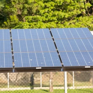 CMN Cria Regime Especial para Fundos de Inovação no Eco Invest Brasil: Impulso para a Economia Verde