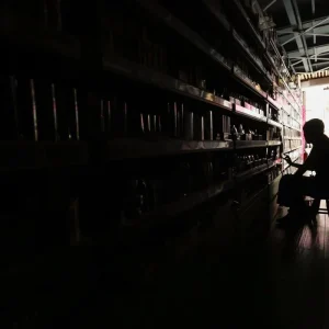 Falta de Luz no RJ: Procon-RJ Orienta Consumidores Sobre Como Pedir Ressarcimento por Aparelhos Danificados e Alimentos Perdidos