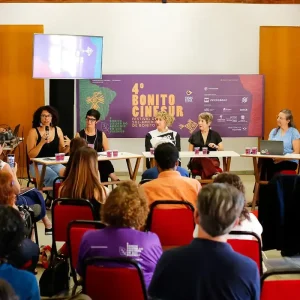 Mulheres no Cinema Brasileiro: Formação Alta, Liderança Baixa Abaixo de 20% Exige Ação Pública Urgente