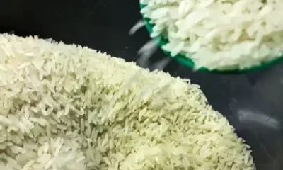 Alerta no RS: Falta de Diesel Ameaça Colheita de Soja e Arroz, Produtores Rurais Pedem Solução Urgente