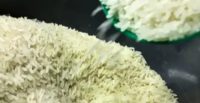 Alerta no RS: Falta de Diesel Ameaça Colheita de Soja e Arroz, Produtores Rurais Pedem Solução Urgente