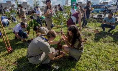 COP15 no Brasil: Bosque de Árvores Nativas Conecta Povos e Territórios pela Vida Selvagem Migratória