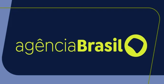 Tragédia em Rio Claro: Dois homens morrem em queda de avião; bombeiros controlam incêndio em matagal